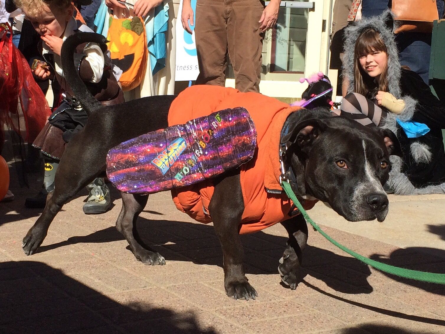 Murphy's Halloween Pet Costume Contest